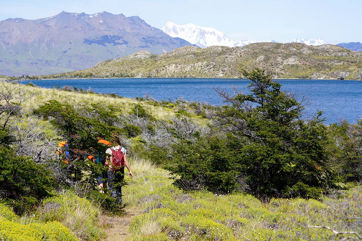 Hiking the Lago Chico Loop Patagonia National Park (Mt. San Lorenzo)